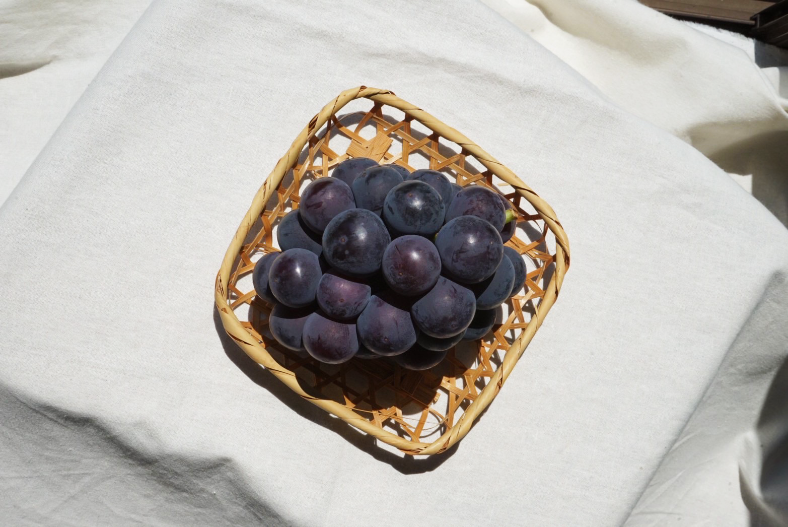 ピオーネの写真