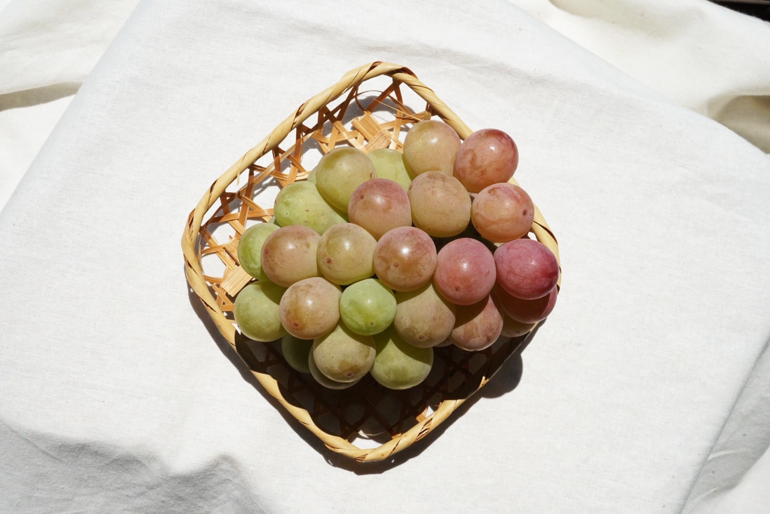 安芸クイーンの写真